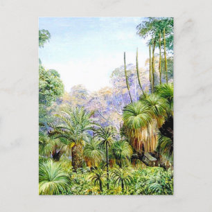 Forest Scene i Väster Australien, Vykort