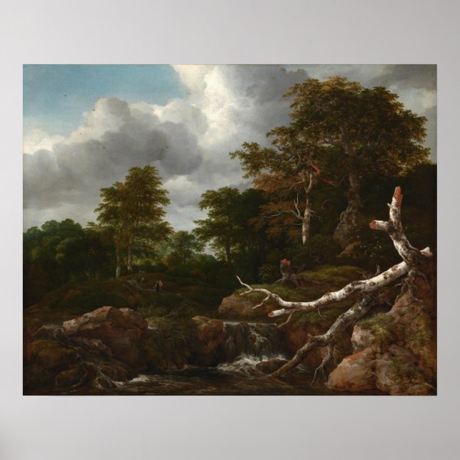 Forest Scene - Jacob van Ruisdael Fine Art Poster (Framsidan)