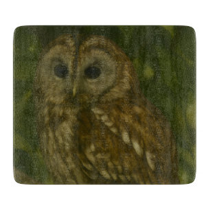Forest Sentinel - Tawny Uggla Wildlife Art