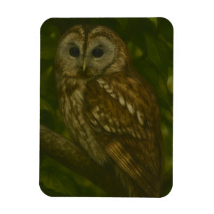 Forest Sentinel - Tawny Uggla Wildlife Art Magnet