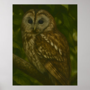 Forest Sentinel - Tawny Uggla Wildlife Art Poster