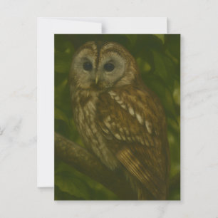 Forest Sentinel - Tawny Uggla Wildlife Art Vykort