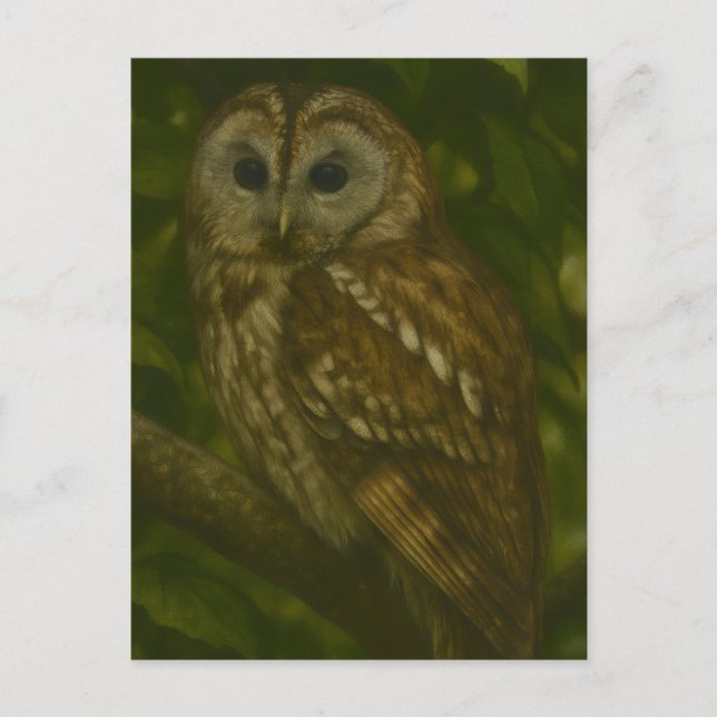 Forest Sentinel - Tawny Uggla Wildlife Art Vykort (Framsida)