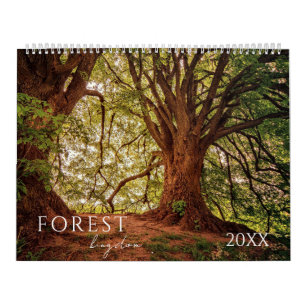 Forest Skogen Ligcape Fyra säsonger Kalender