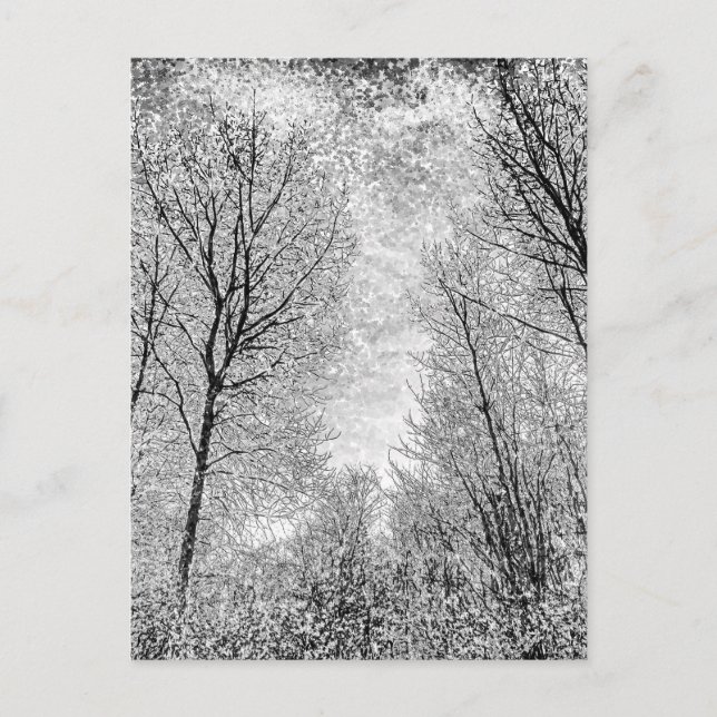 Forest Snö Art Vykort (Framsida)