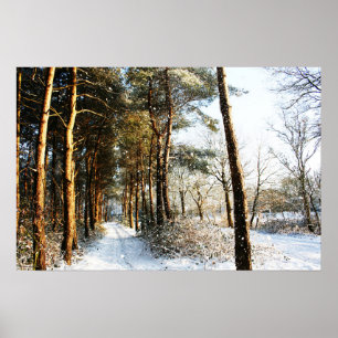 Forest Snö Scene wap arc Poster