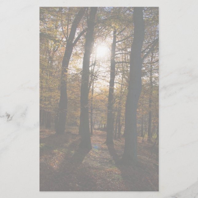 Forest sol brevpapper (Framsida)
