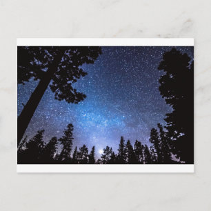 Forest Star Gazing An Astronomy Delight Vykort