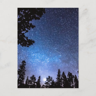 Forest Star Gazing An Astronomy Delight Vykort