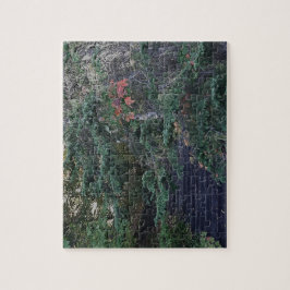 Forest Steps in Early Autumn Pussel