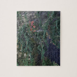 Forest Steps in Early Autumn Pussel