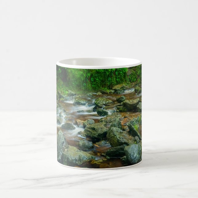 Forest Stream in Lush Woodland (Dargle River) Kaffemugg (Center)