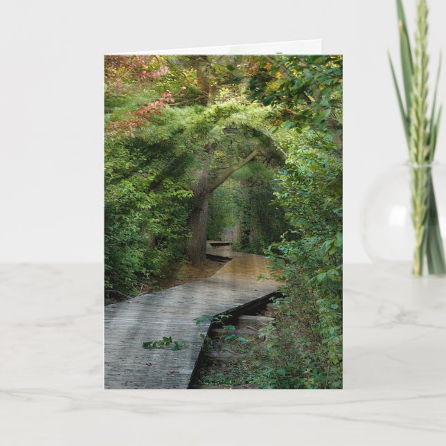 Forest Sunbeams för Sympathy Card Kort (Framsida)