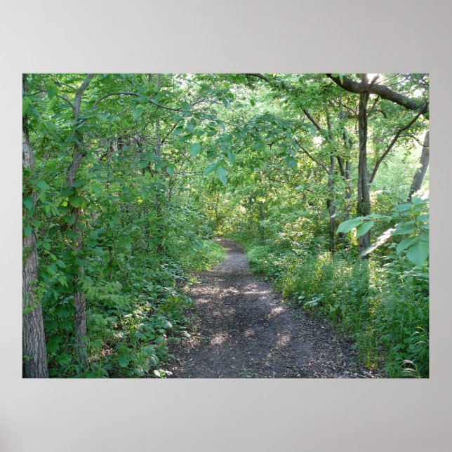 Forest Sunlight Poster (Framsidan)