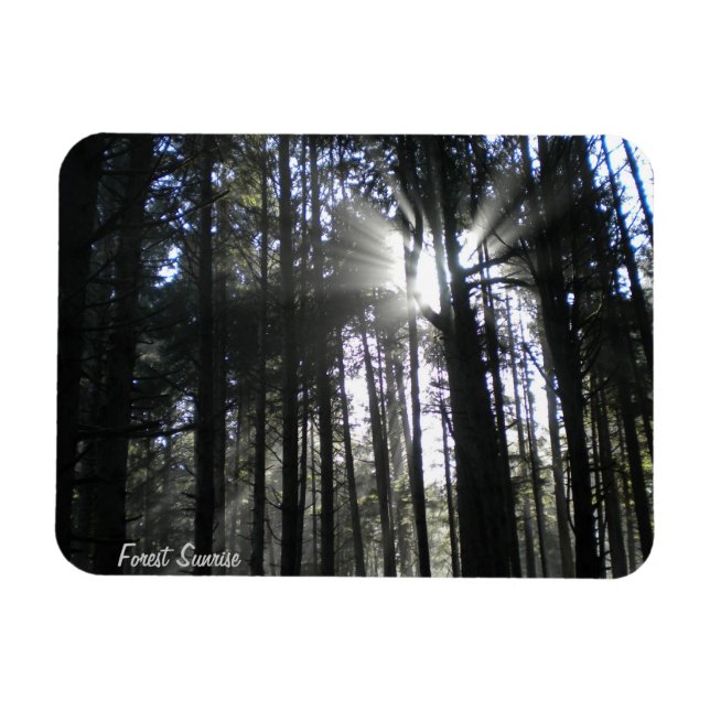 Forest Sunrise Magnet (Horisontell)