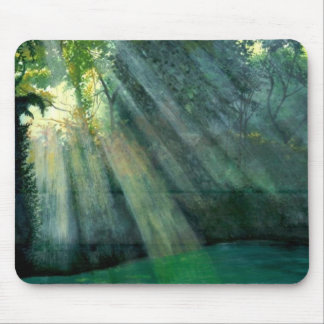 Forest Sunrise Musmatta