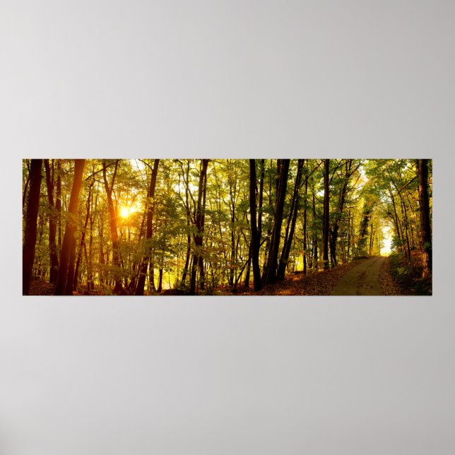 Forest Sunrise Poster (Framsidan)