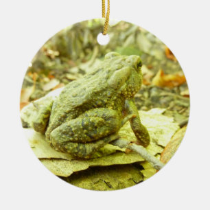 Forest Toad Julgransprydnad Keramik