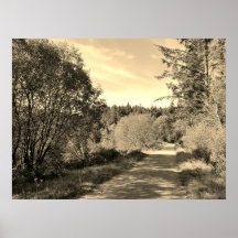 Forest Träd längs promenad väg Gorgday Poste