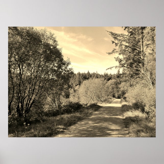 Forest Träd längs promenad väg Gorgday Poste Poster (Framsidan)