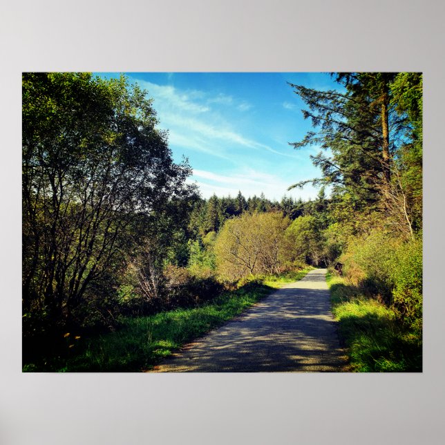 Forest Träd längs promenad väg Gorgday Poste Poster (Framsidan)