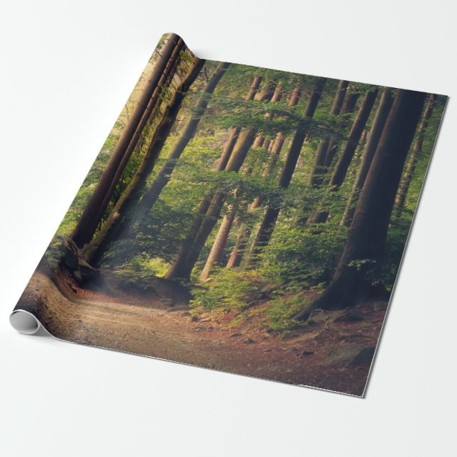FOREST TRÄD PRESENTPAPPER (Utrullad)
