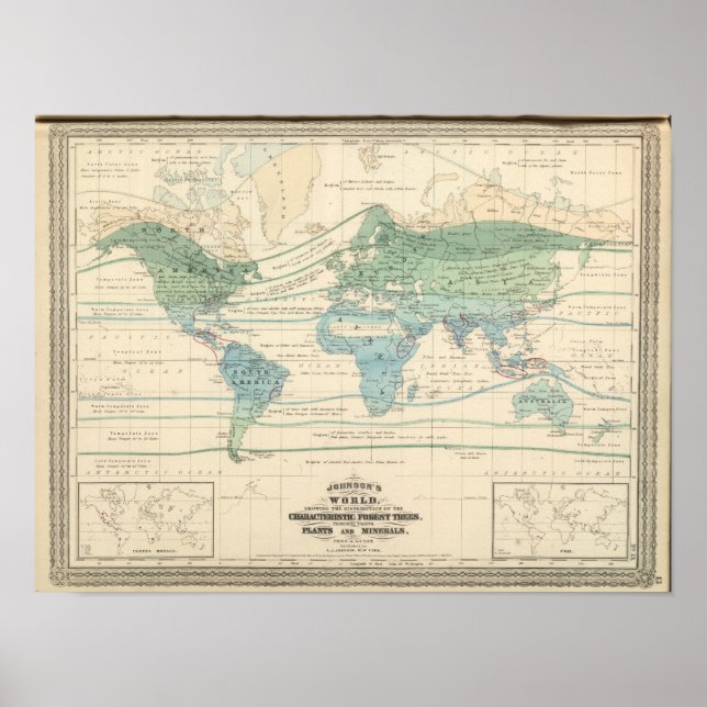 Forest Träd, Useful Plants and Minerals Poster (Framsidan)