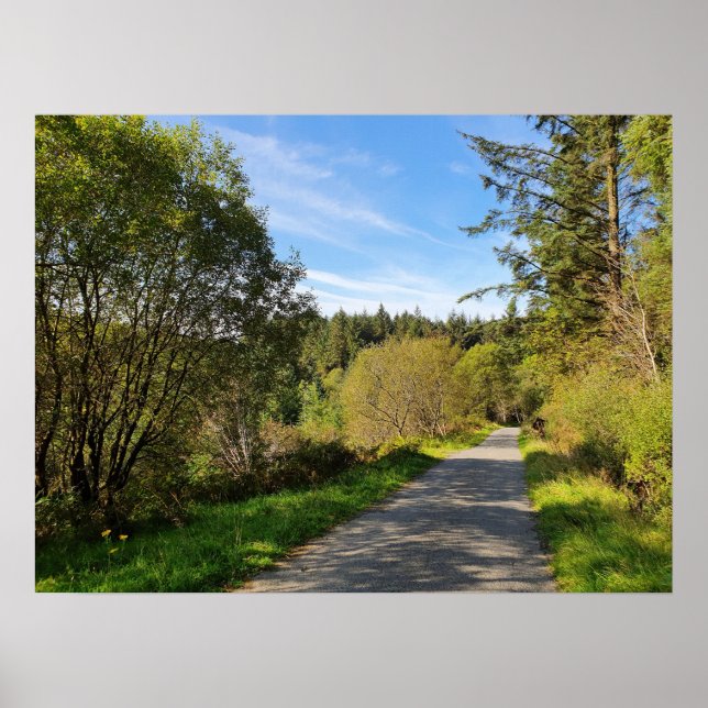 Forest Träd vid promenaden väg Gorgadag Poster (Framsidan)