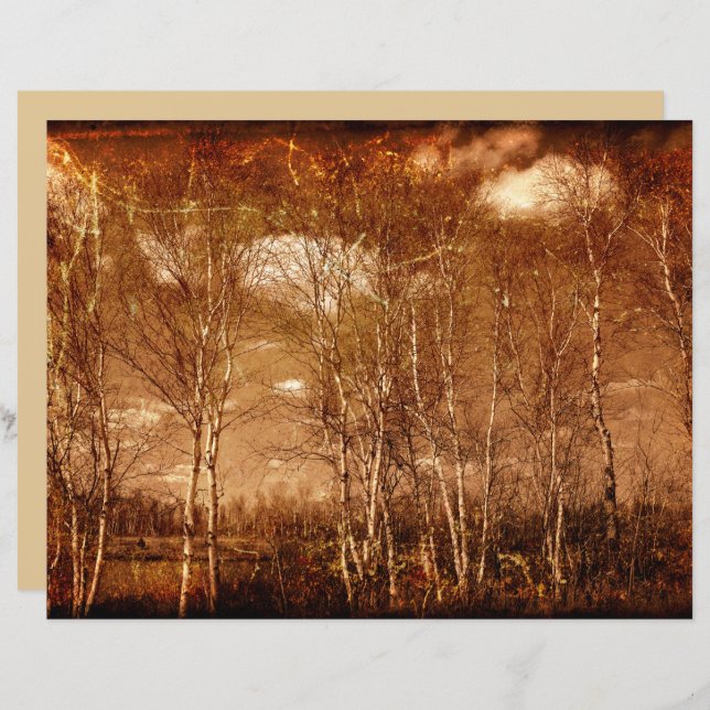 Forest Träd Vintage Grunge Rustic Struktur Clouds (Fram/baksida)