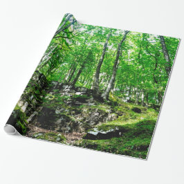 Forest Trails Walking i Wales Neath Valley Presentpapper