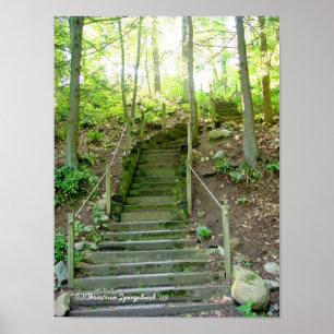 Forest Trappor Väg Poster