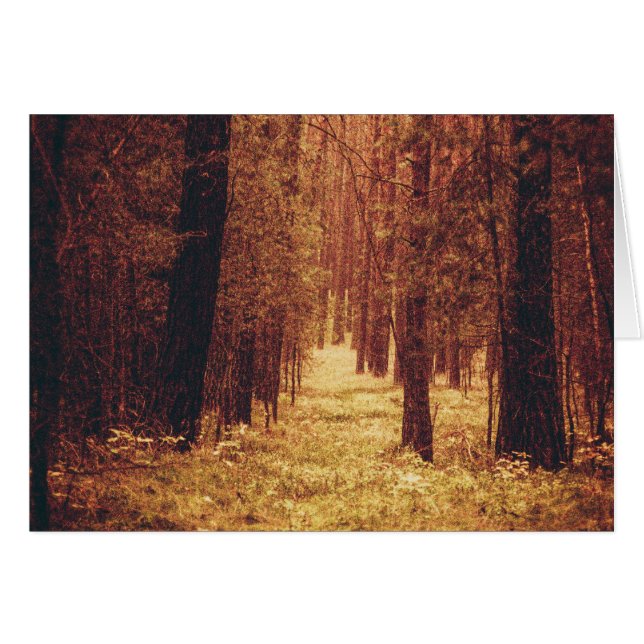 Forest Väg... Hälsningskort (Framsidan Horizontal)