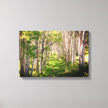 Forest Väg i Vår i Late