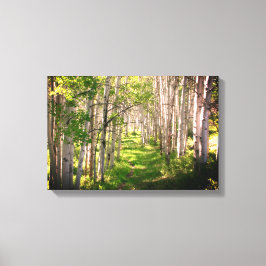 Forest Väg i Vår i Late Canvastryck