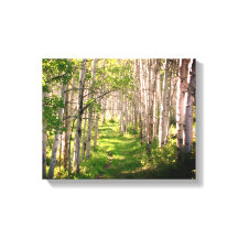 Forest Väg i Vår i Late