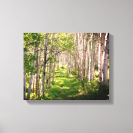 Forest Väg i Vår i Late Canvastryck