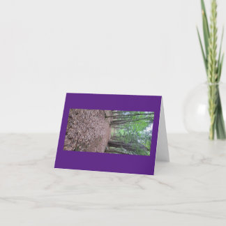Forest Väg Tack Kort