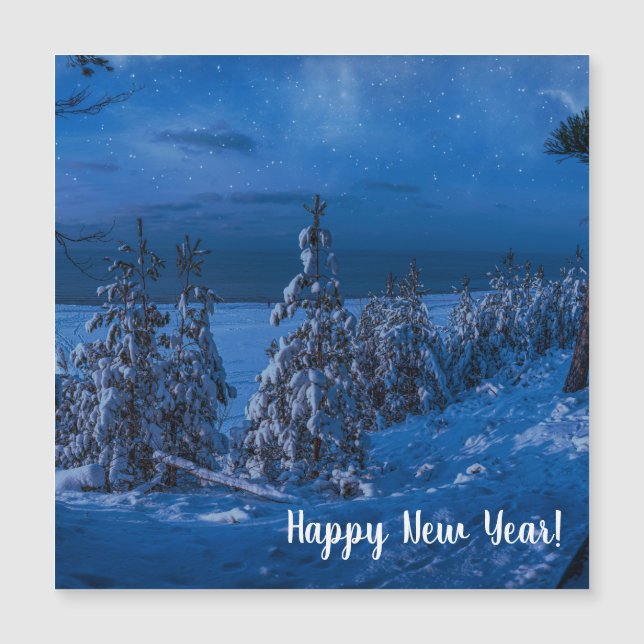 Forest väg under vinternatten (Framsida)