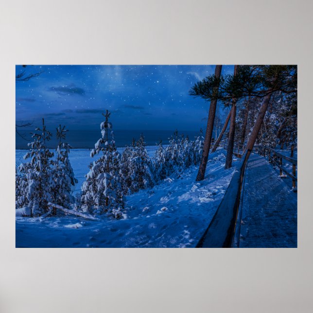 Forest väg under vinternatten poster (Framsidan)