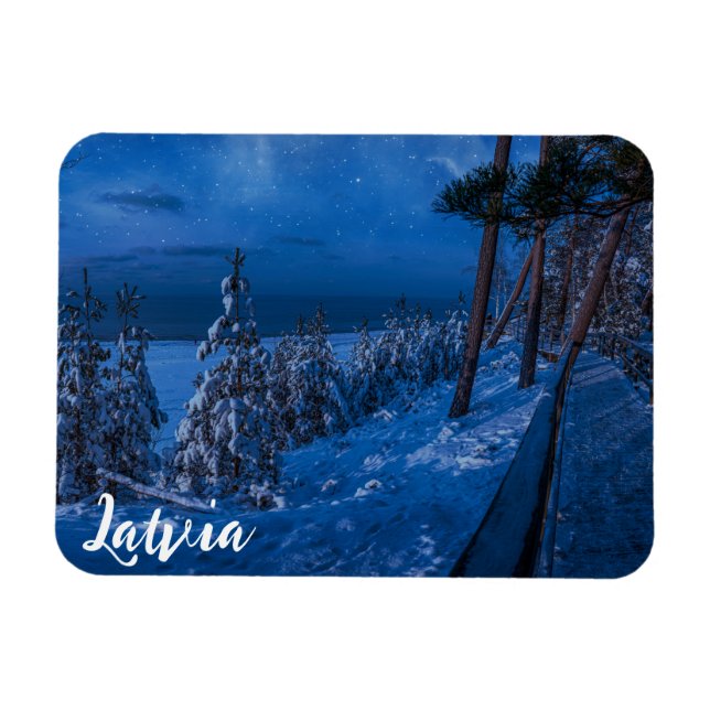 Forest väg vid vinternattmagnet magnet (Horisontell)