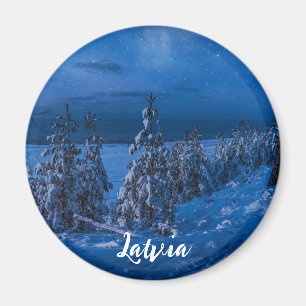 Forest väg vid vinternattmagnet magnet