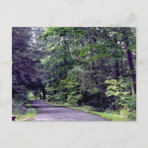 Forest Väg - vykort