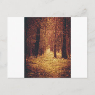 Forest Väg... Vykort