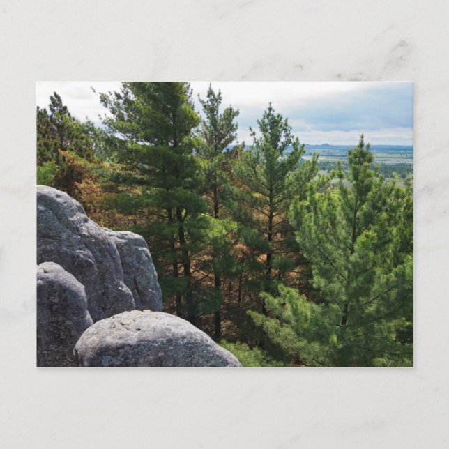 Forest Valley Overlook på Castle Mound Vykort (Framsida)