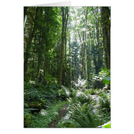 Forest Walk Hälsningskort