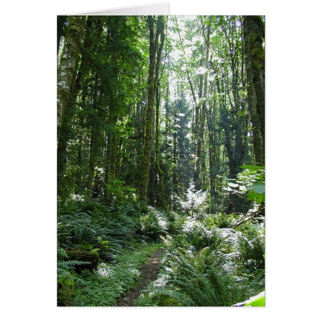 Forest Walk Hälsningskort (Framsidan)