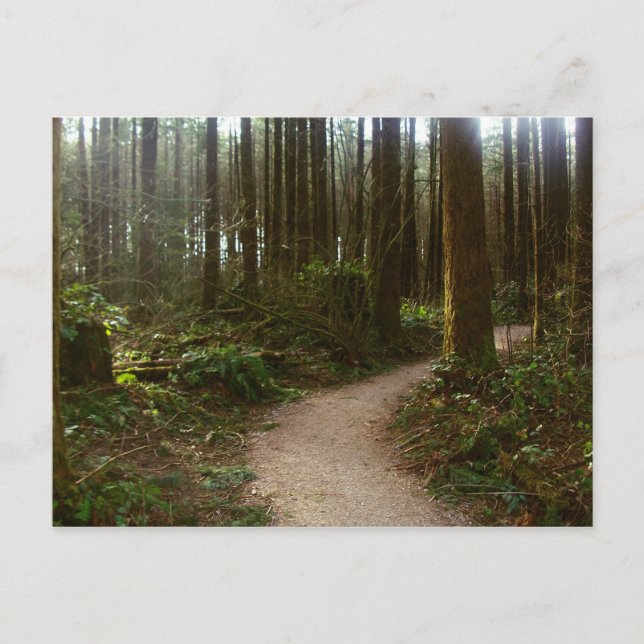 Forest Walk Vykort (Framsida)