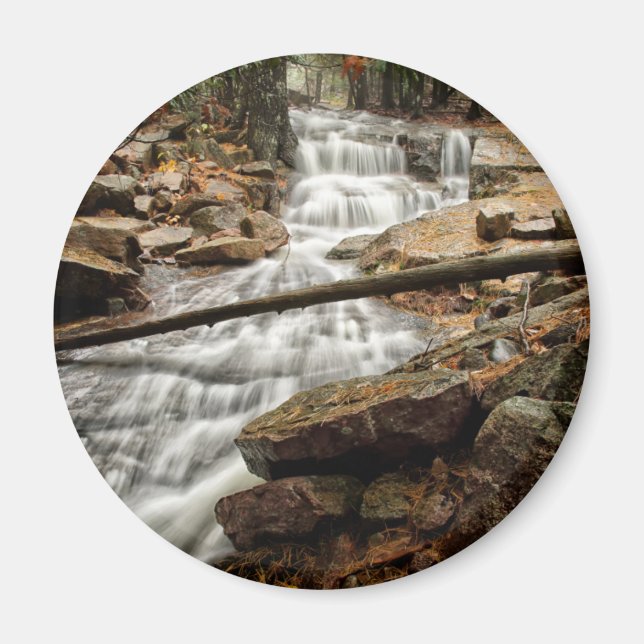 Forest Waterfall Magnet (Framsidan)