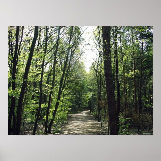 Forest Way Poster (Framsidan)