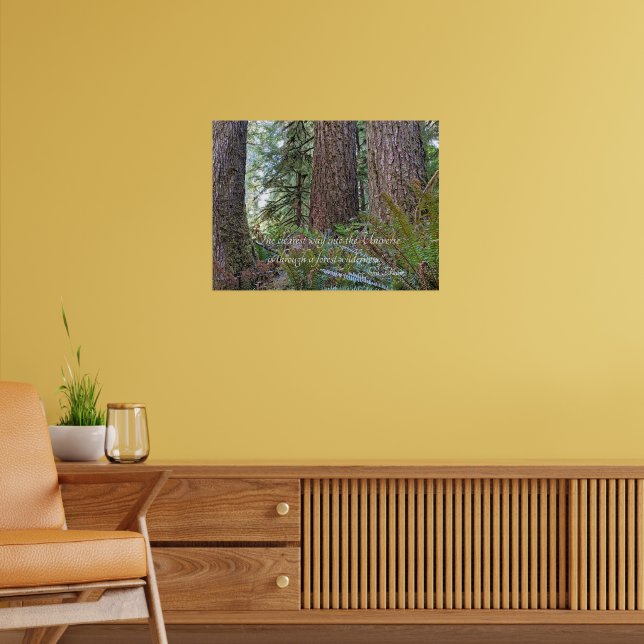 Forest Wilderness John Muir Nature Quote Poster (Vardagsrum 2)